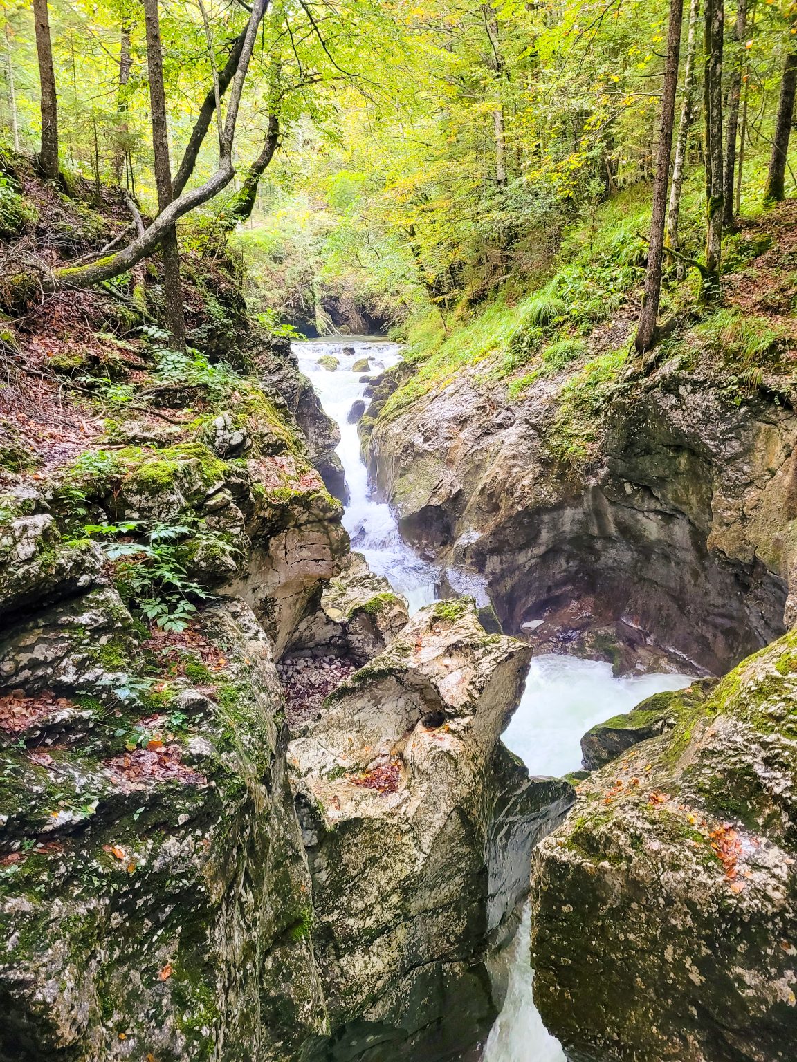 MiniTrip Slowenien Bohinjer See & Mostnica Schlucht MountainPaws